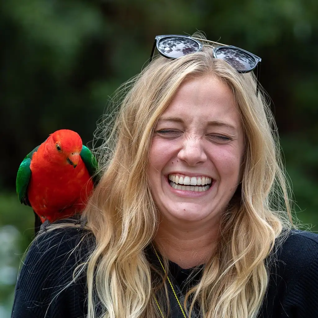 2 Day Great Ocean Road and Wildlife Tour for Backpackers aged 18-35