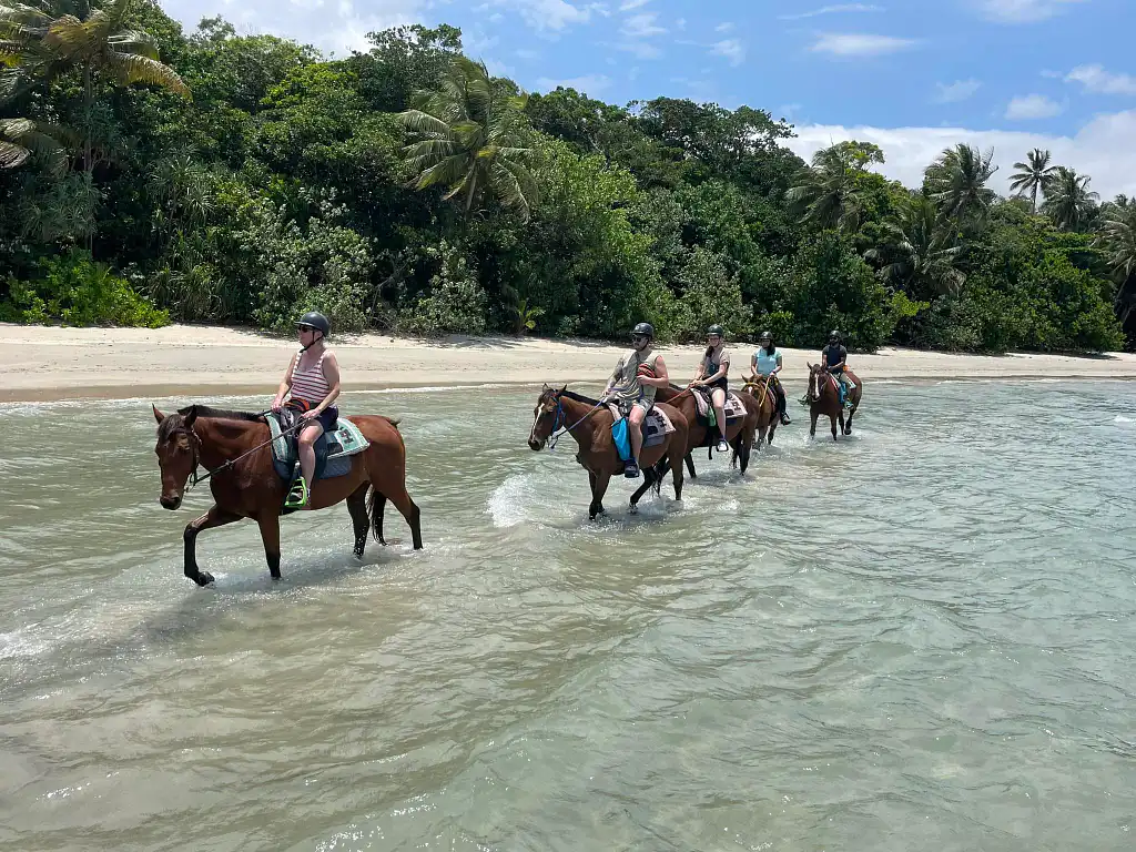 Cape Tribulation Beach Horse Ride