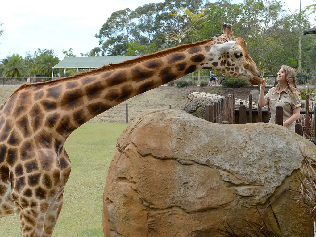 Australia Zoo - Glass House Mountains Tour from Sunshine Coast