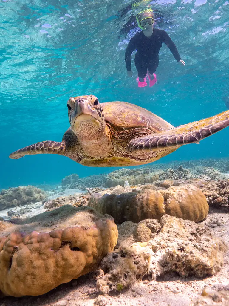 Reefsleep Great Barrier Reef + Whitsundays 2 Days 1 Night