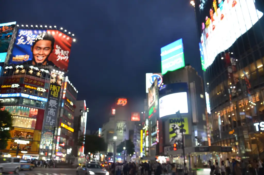 Street Food Shibuya Tour