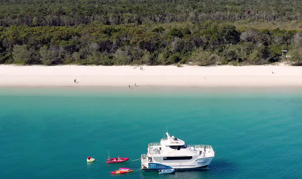 K'gari Fraser Island Beach & BBQ Cruise | Half Day  Trip (Nov to June) - Departing Hervey Bay