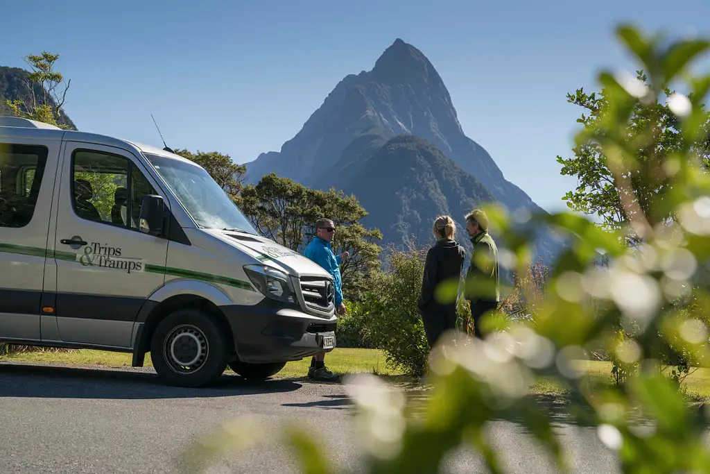 Milford Sound Coach, Cruise & Walk from Te Anau