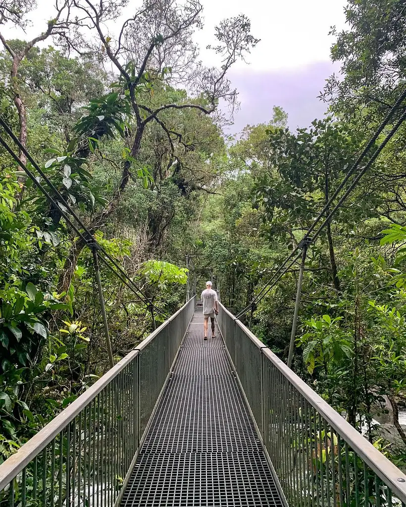 Daintree Discovery Centre - Entry