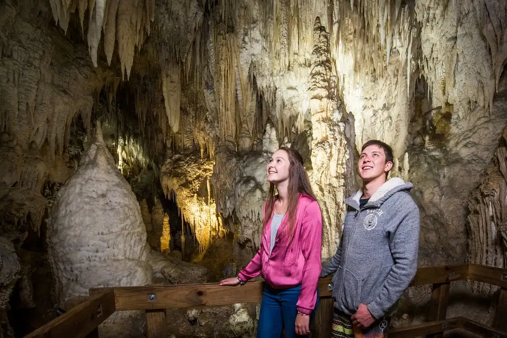 Auckland to Rotorua | Via Waitomo Caves | Small Group Tour