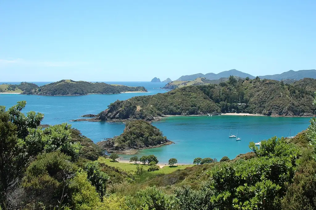 'Bay & Cape' Bus Pass | Auckland & Bay of Islands| Kiwi Explorer