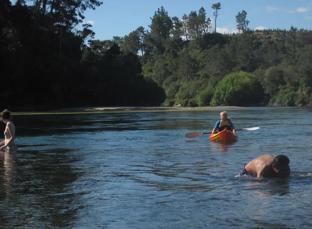 Waikato 'River Float' Kayak Tour - 2 Hours