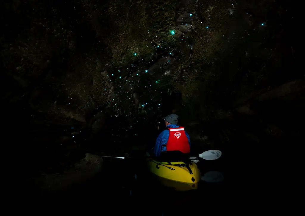 Twilight Kayak Glow Worm Tour