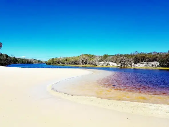 Bribie Island 4WD, Kayak, Beach & Bunker Half Day Tour