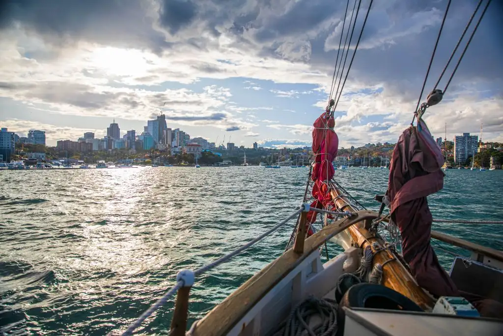 Whale & Sail Sydney Whale Watching Cruise