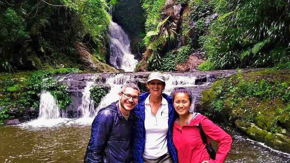 Rainforests of Lamington Wilderness Tour from the Gold Coast