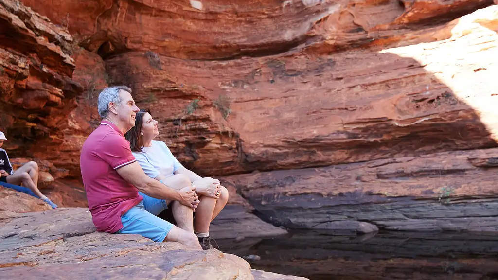 Kings Canyon & Outback Panoramas - Full Day Tour from Uluru