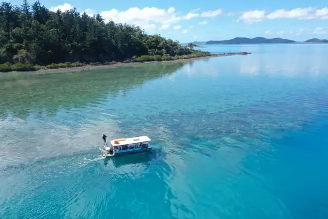 Glass Bottom Boat Tour - Shute Harbour