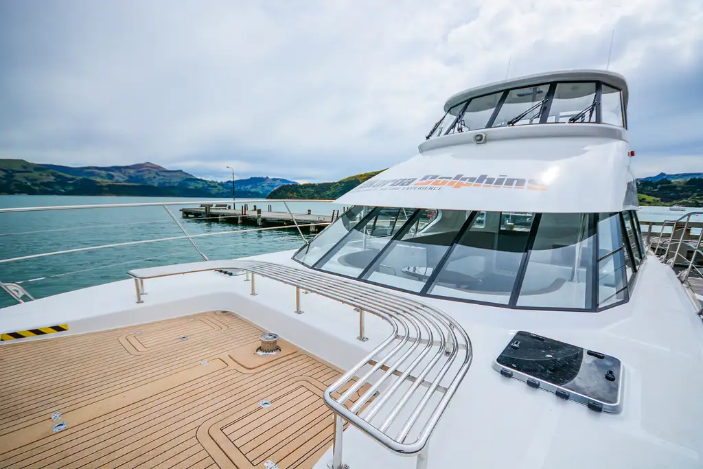 Akaroa Dolphins Harbour Nature Cruise