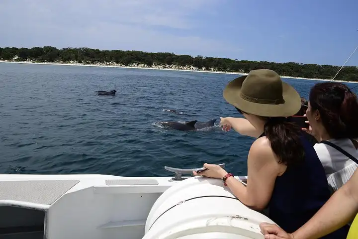 Jervis Bay Dolphin Cruise