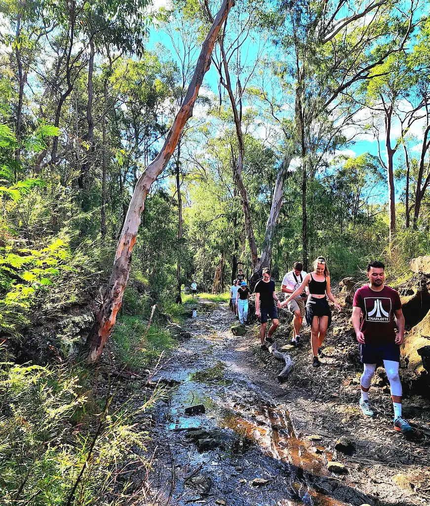 Blue Mountains Full Day Adventure with Lunch | Departing Sydney