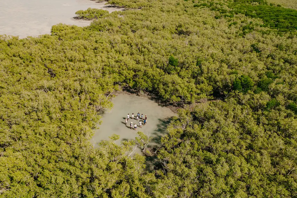 Broome Mangrove Discovery Experience