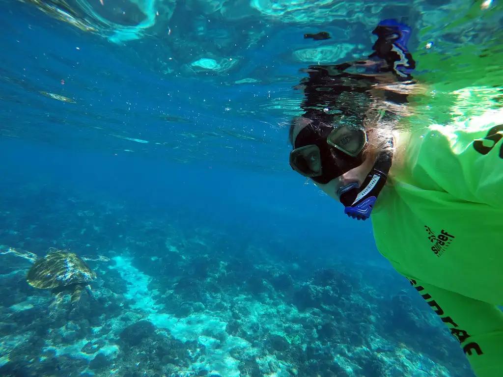 Snorkel with Turtles at Mudjimba Island