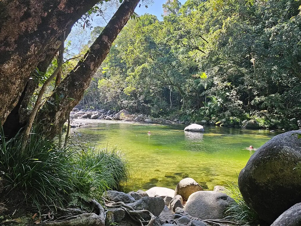 Mossman Gorge, Daintree Rainforest & Beach Fishing Tour with Aboriginal Dreamtime Guide