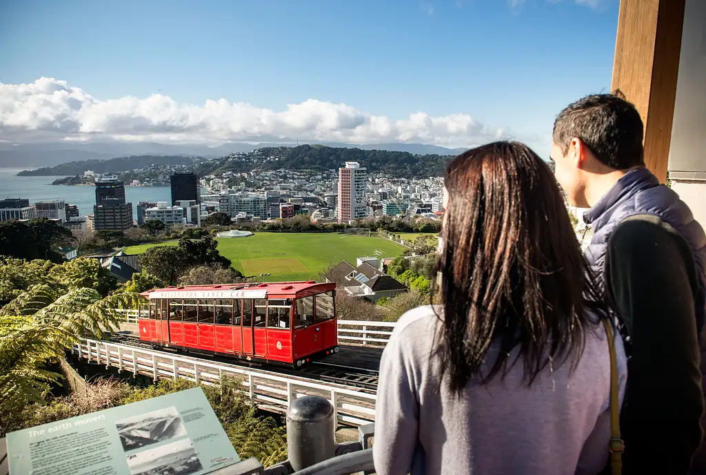 Wellington Half-day City Tour with Intro to Te Papa