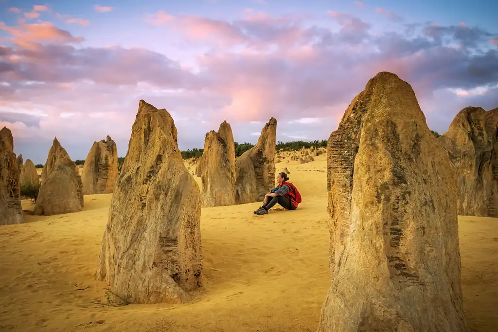 Pinnacles Sunset, Stargazing & Wildlife Day Tour With Dinner