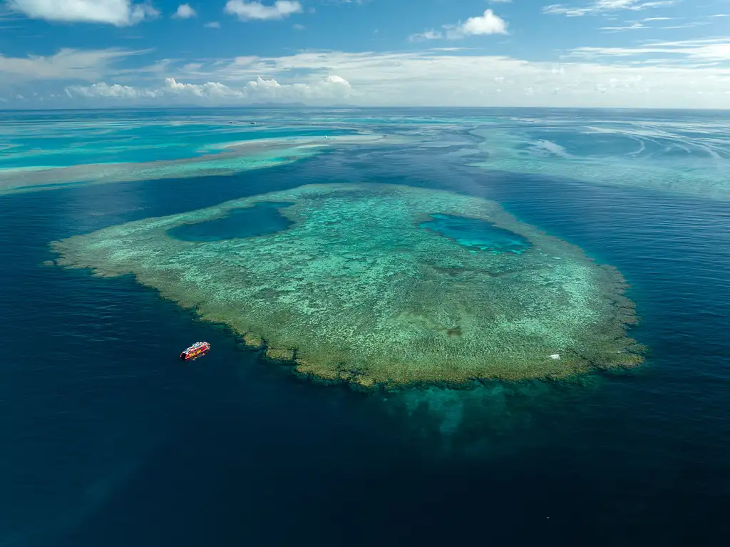 Outer Reef Snorkelling Adventure