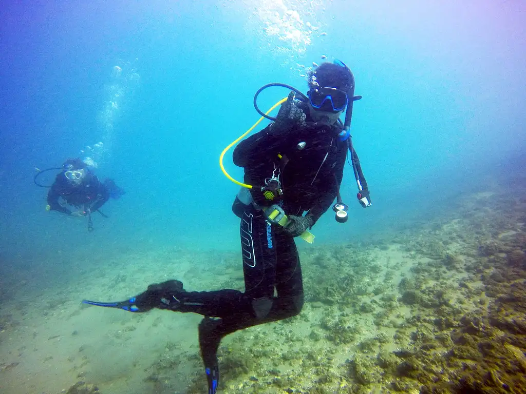 Gold Coast Single Dive