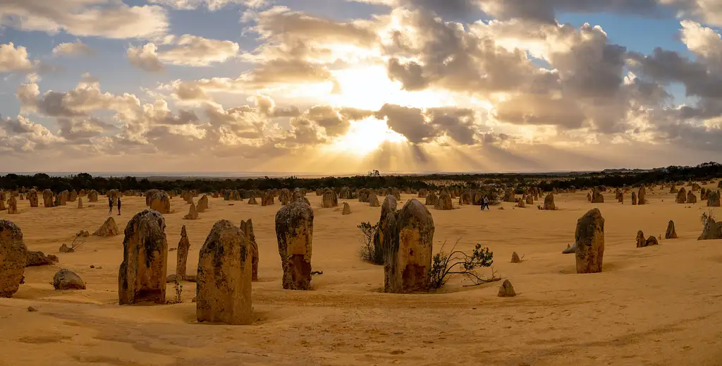 Pinnacles Sunset, Stargazing & Wildlife Day Tour With Dinner