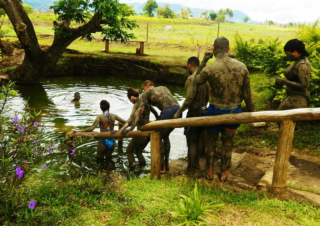 Fiji Health and Therapeutic Orchid Tour - 1 Day