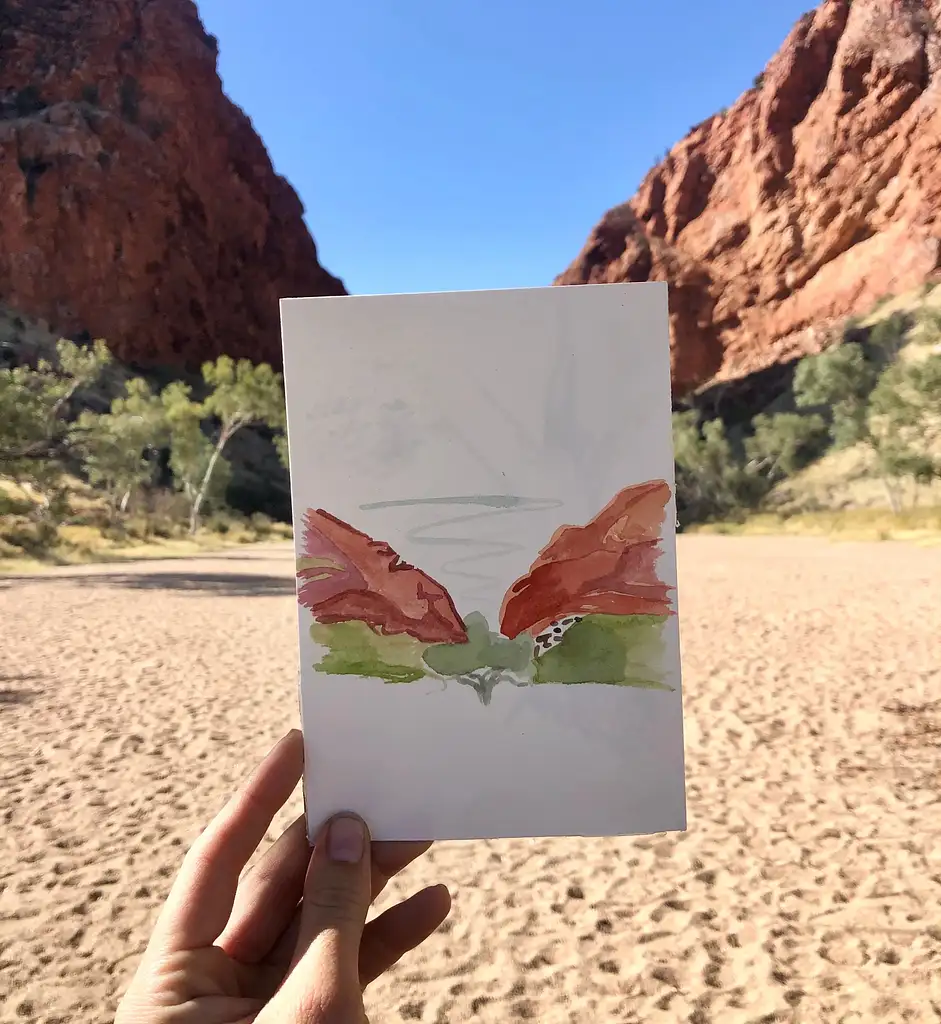 Simpsons Gap Sunset Tour | Watercolour Painting Class