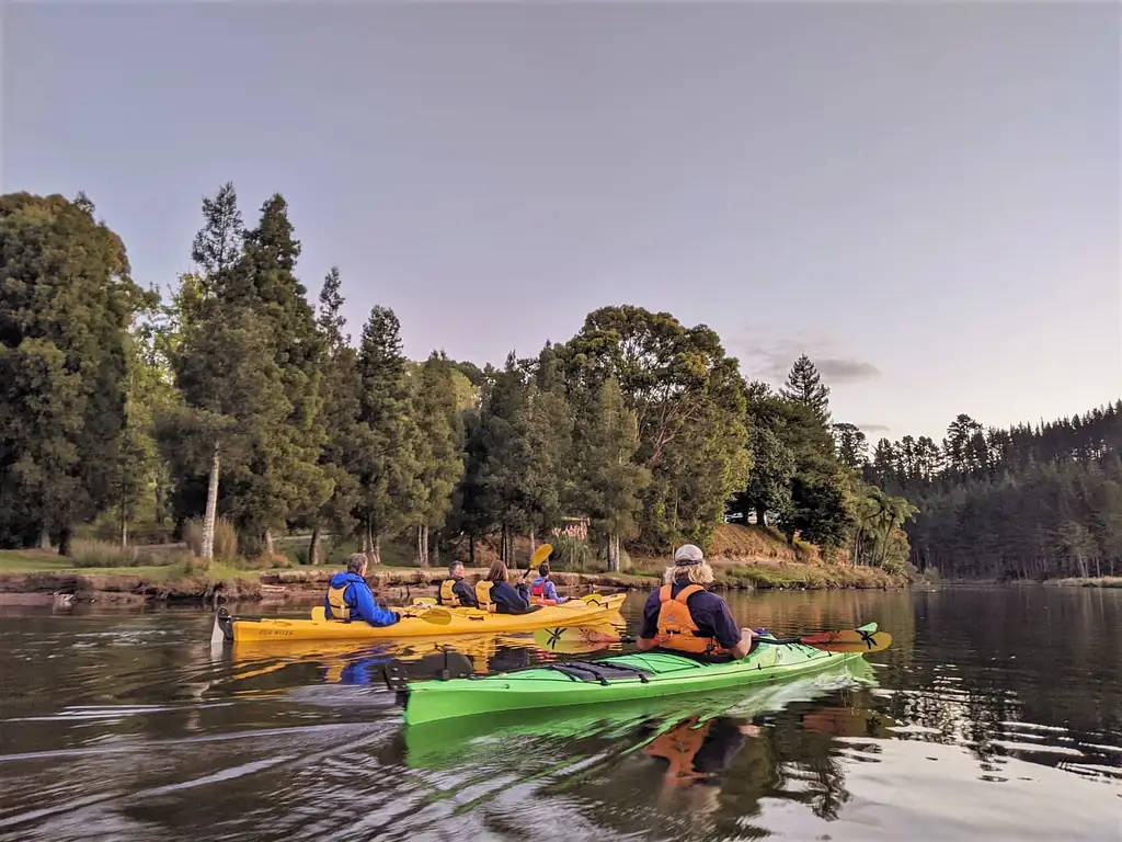 Evening Glow Worm Kayak Tour