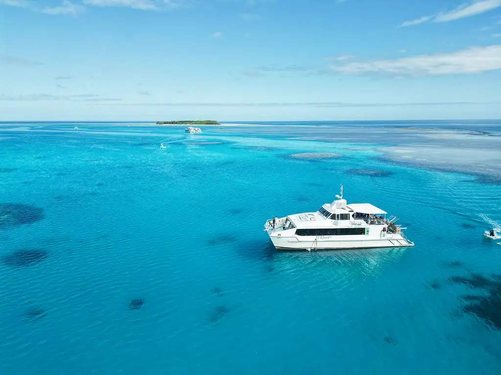 Day Tour to Lady Musgrave Island - Departing 1770