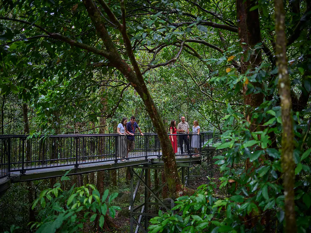 Daintree Dreaming - Traditional Aboriginal Fishing