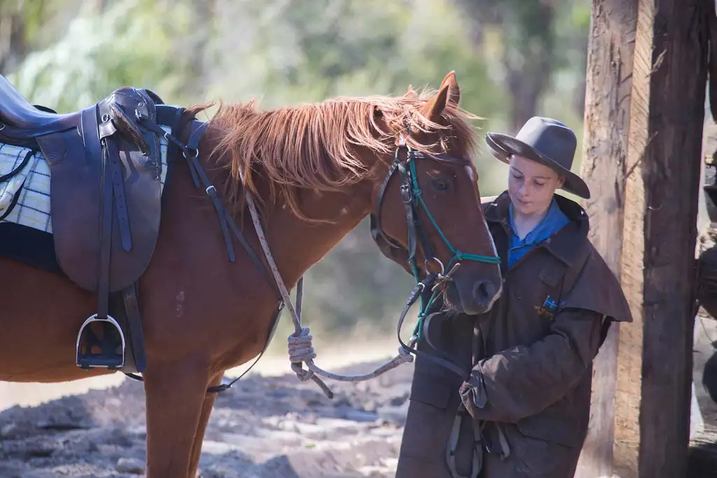 Yarra Valley Wine Tasting & Horse Trail Ride