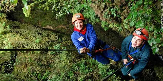 Waitomo Caves Lost World Abseiling & Caving Experience - Half Day