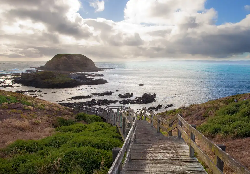 Puffing Billy And Phillip Island Penguin Parade Small Group Tour