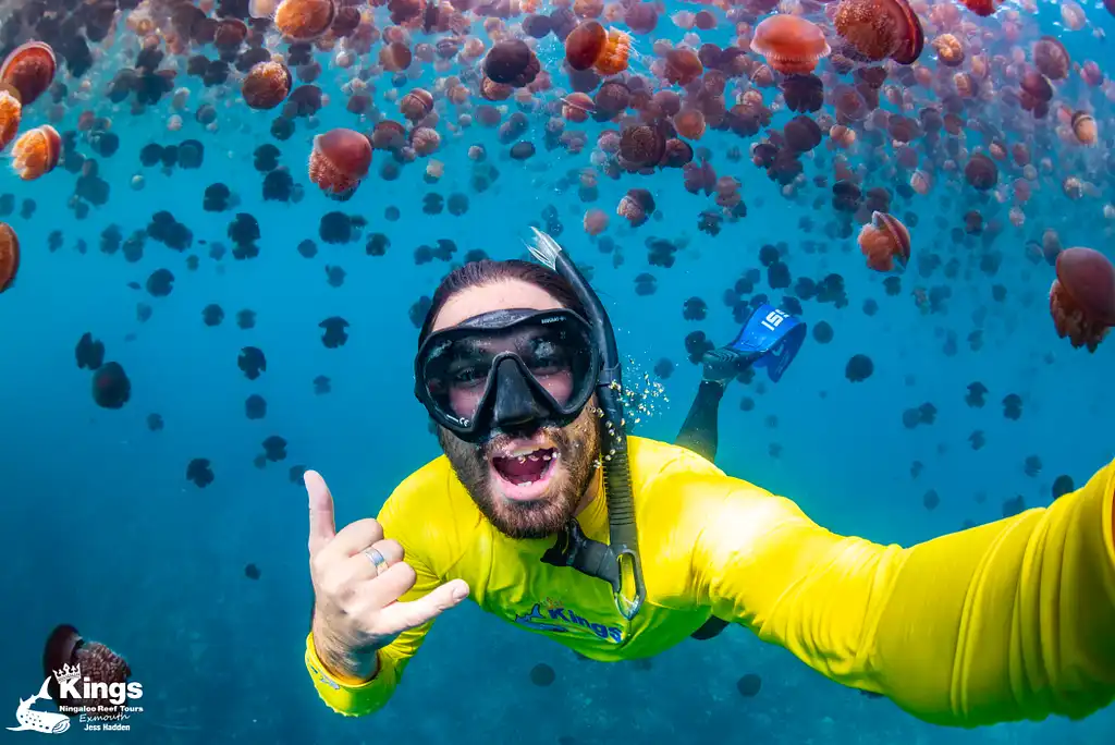 Whale Shark & Humpback Whale Eco Tour (Aug-Sept) | Departing Exmouth