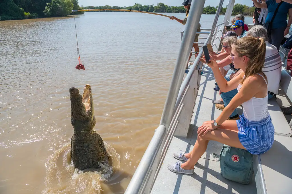 Spectacular Jumping Crocodile Cruise - Darwin