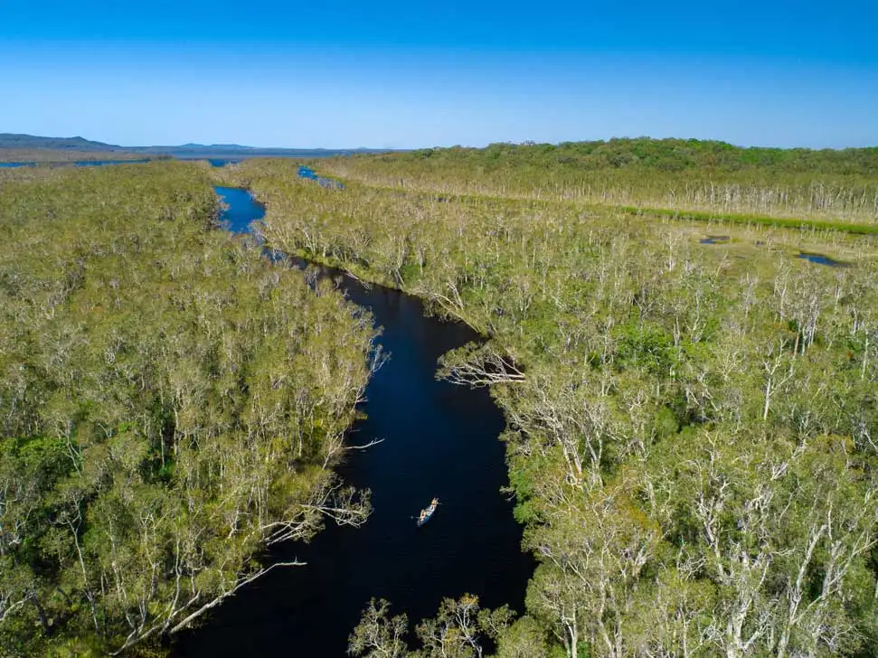 Noosa Everglades Explorer Canoe Trip