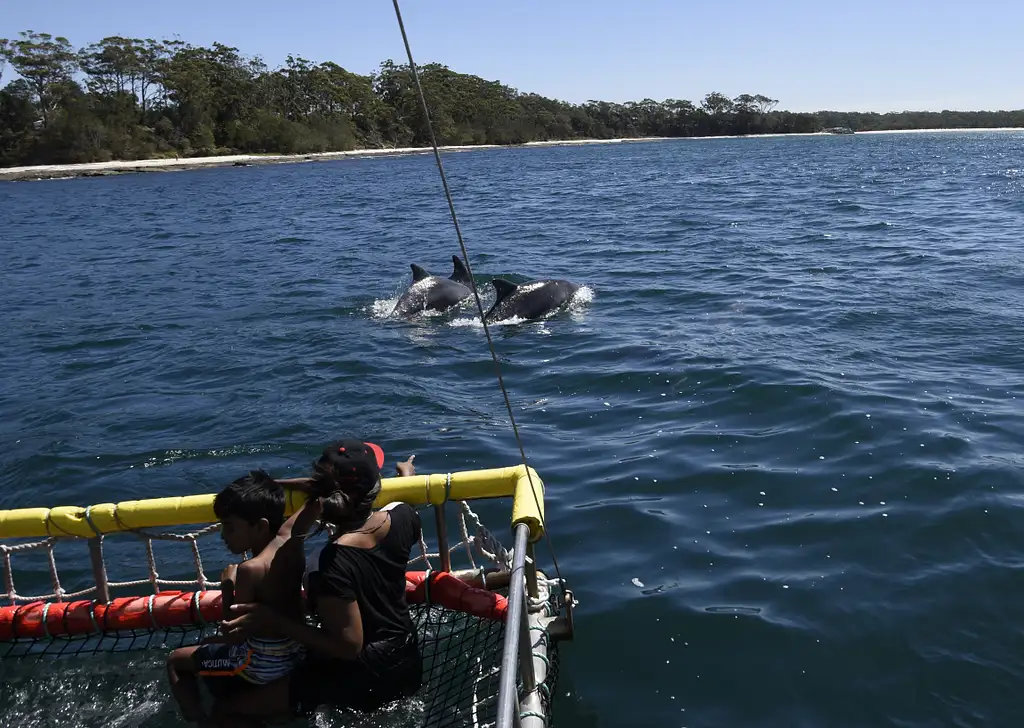 Jervis Bay Dolphin & Boom Netting Cruise