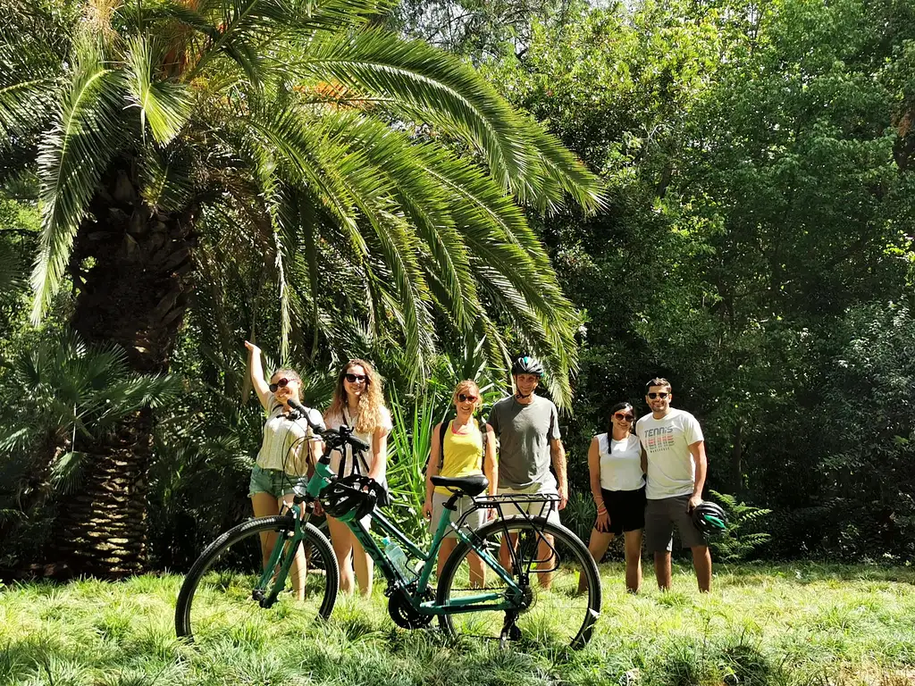 Athens Old Town And Acropolis Guided Bike Tour