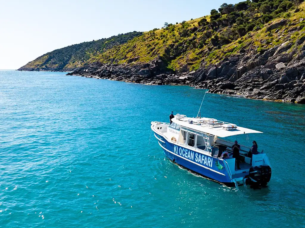 Kangaroo Island 75-Minute Ocean Safari