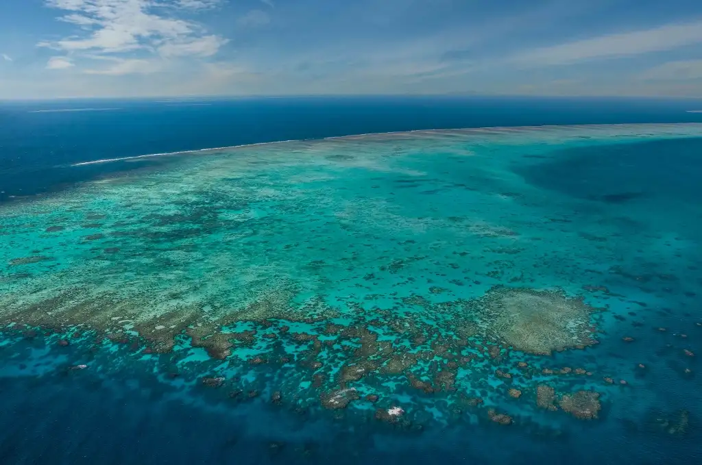 Great Barrier Reef Scenic Flight - Reef Hopper