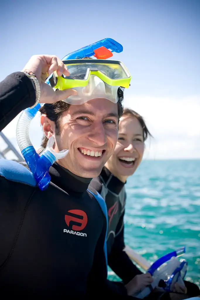 3 Hour Dolphin And Seal Swim - Port Phillip