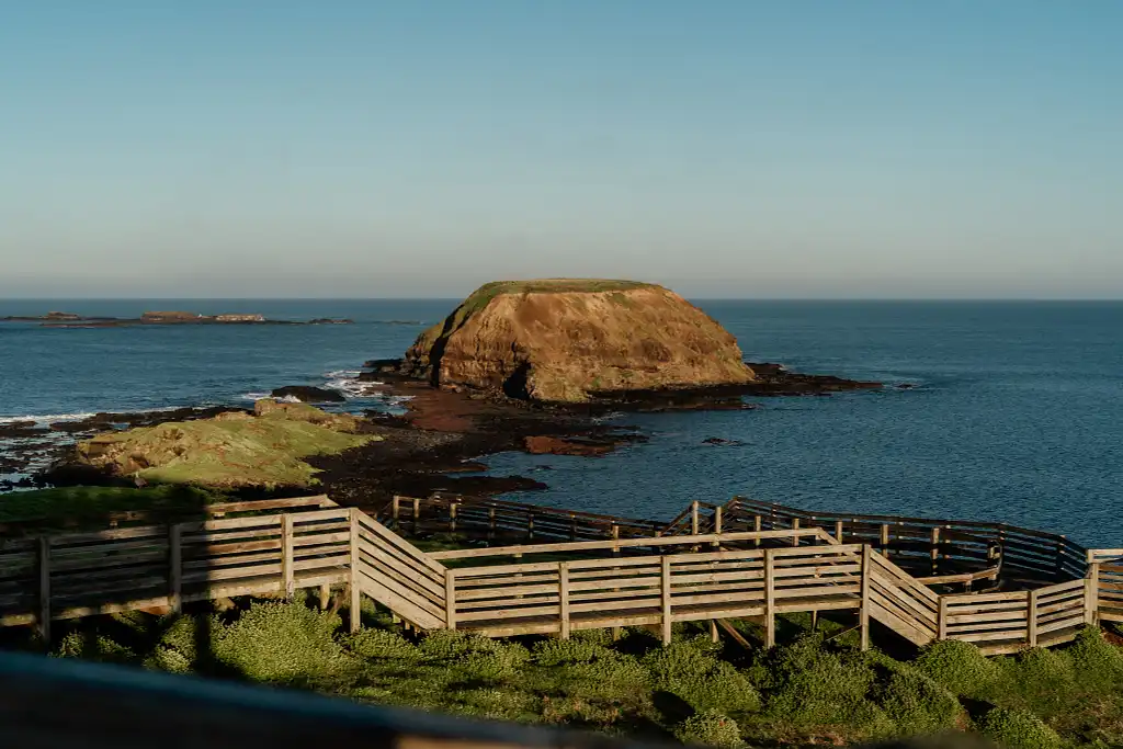 Phillip Island Penguin Parade & Churchill Island Farm Bus Tour