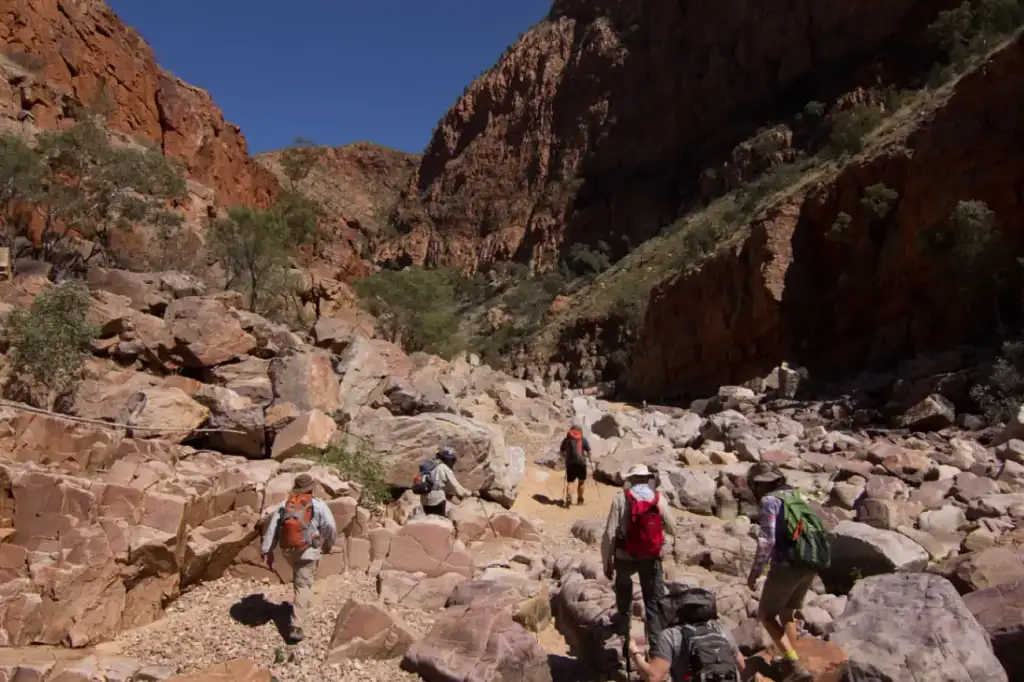 Larapinta Trail 5 Day Trek - Twin Share Safari Tent from Alice Springs