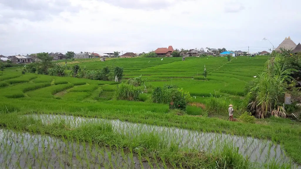 Hidden Rice Terraces Trek