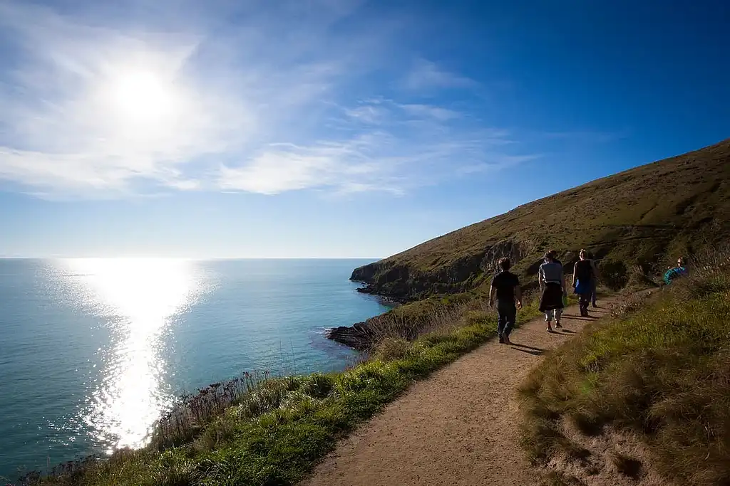 Christchurch Full-Day Guided Crater Rim Walk