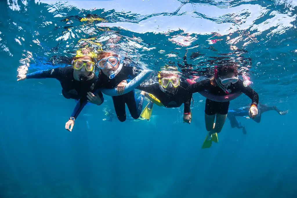 Ningaloo Reef Manta Ray Day Tour | Departing Coral Bay