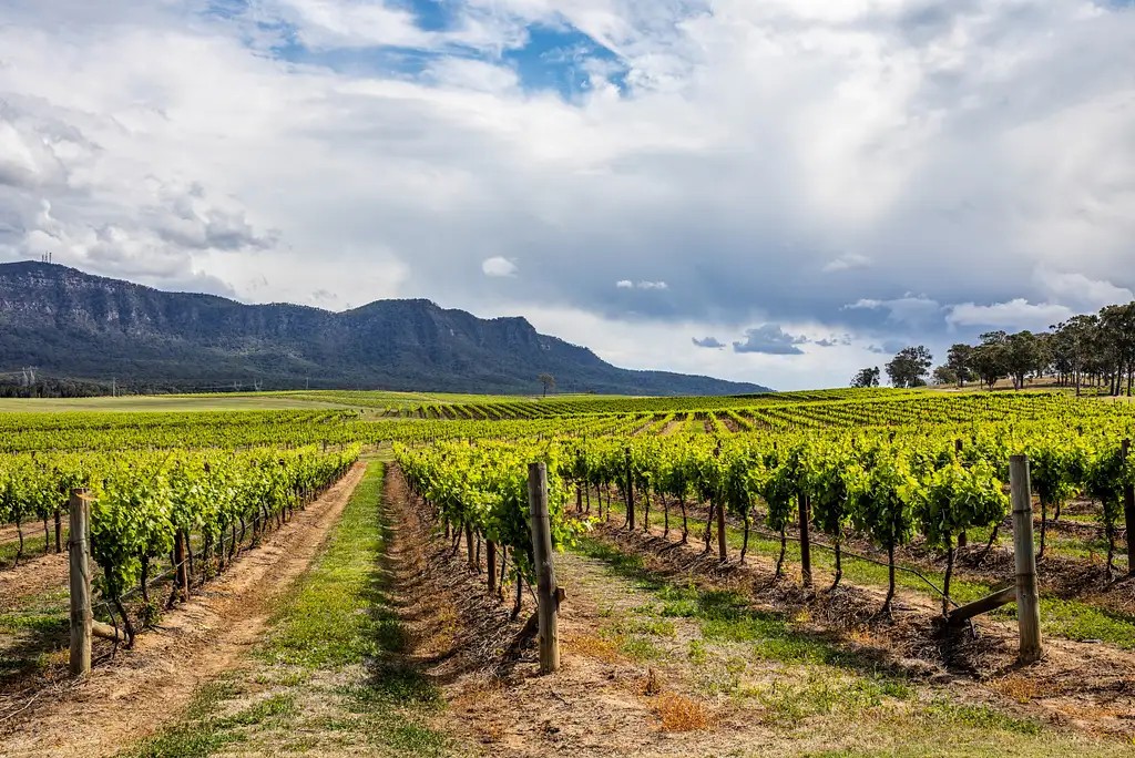 Hunter Valley Signature Wine Tour